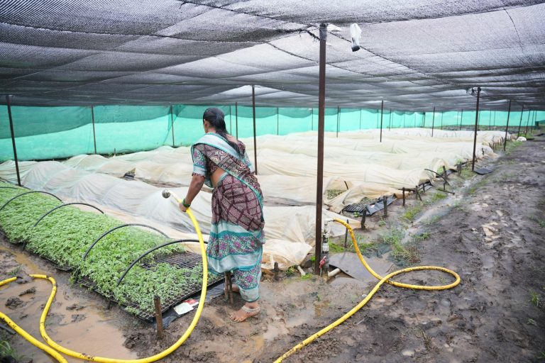 From Fremont to the Farm: How Two Ex-Tesla Minds are Turning India’s Agri-Waste into a Global Materials Powerhouse