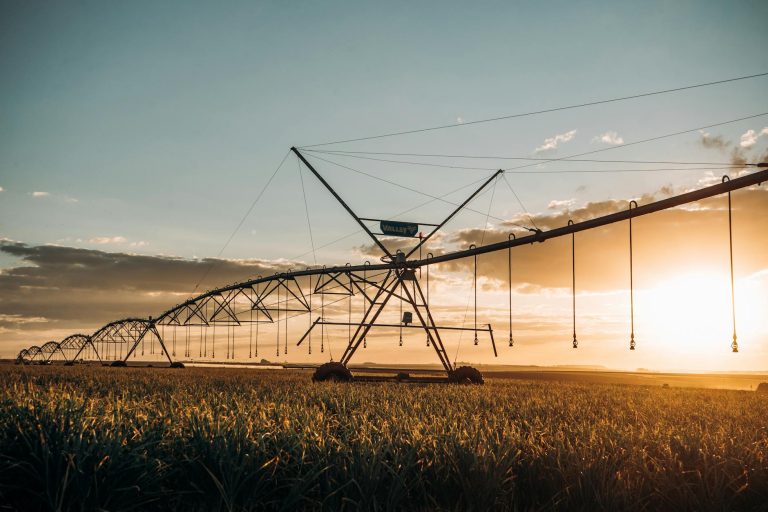 From IIT Labs to India’s Farms: How Agri-Sutra is Rewriting the Rules of Agritech