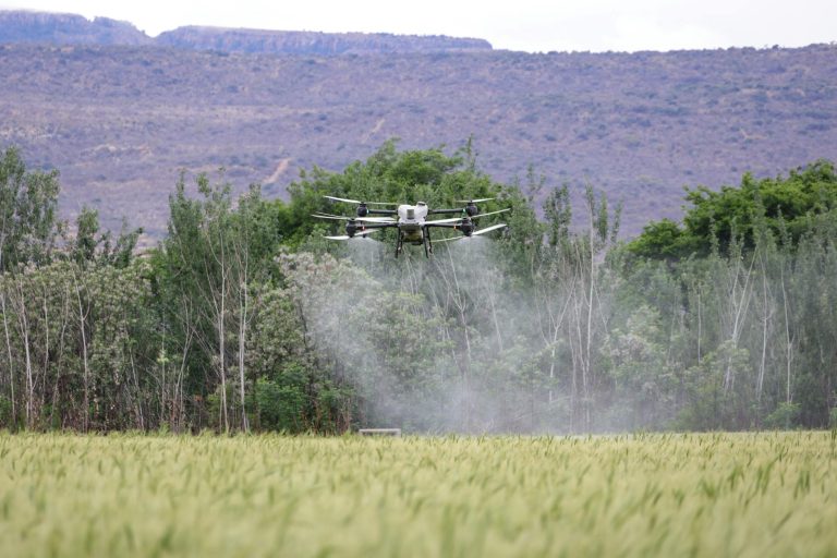 Harvesting Hope: How KhetMitra’s AI is Cultivating Resilience for India’s Smallholder Farmers