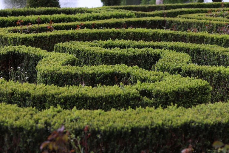 India’s New Startup Gauntlet: Navigating the Maze of Angel Tax, Data Mandates, and Fintech Rules