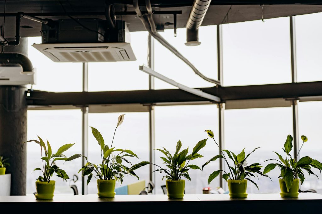 IndiQube’s Post-IPO Power Play: How Rs 1,469 Crore in Revenue is Fueling a Nationwide Green Workspace Revolution
