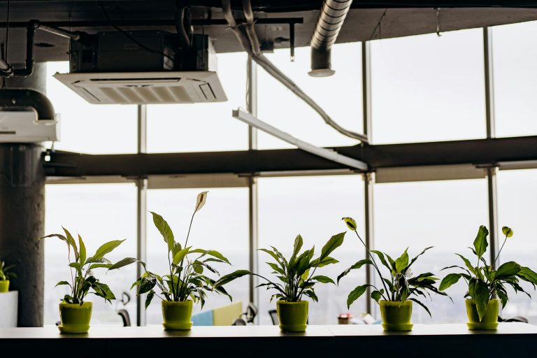 IndiQube’s Post-IPO Power Play: How Rs 1,469 Crore in Revenue is Fueling a Nationwide Green Workspace Revolution