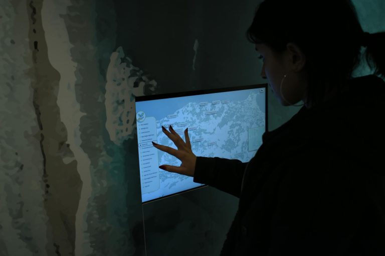 MapmyIndia’s Strategic Pivot: An Indigenous Geospatial Powerhouse Challenges Global Giants