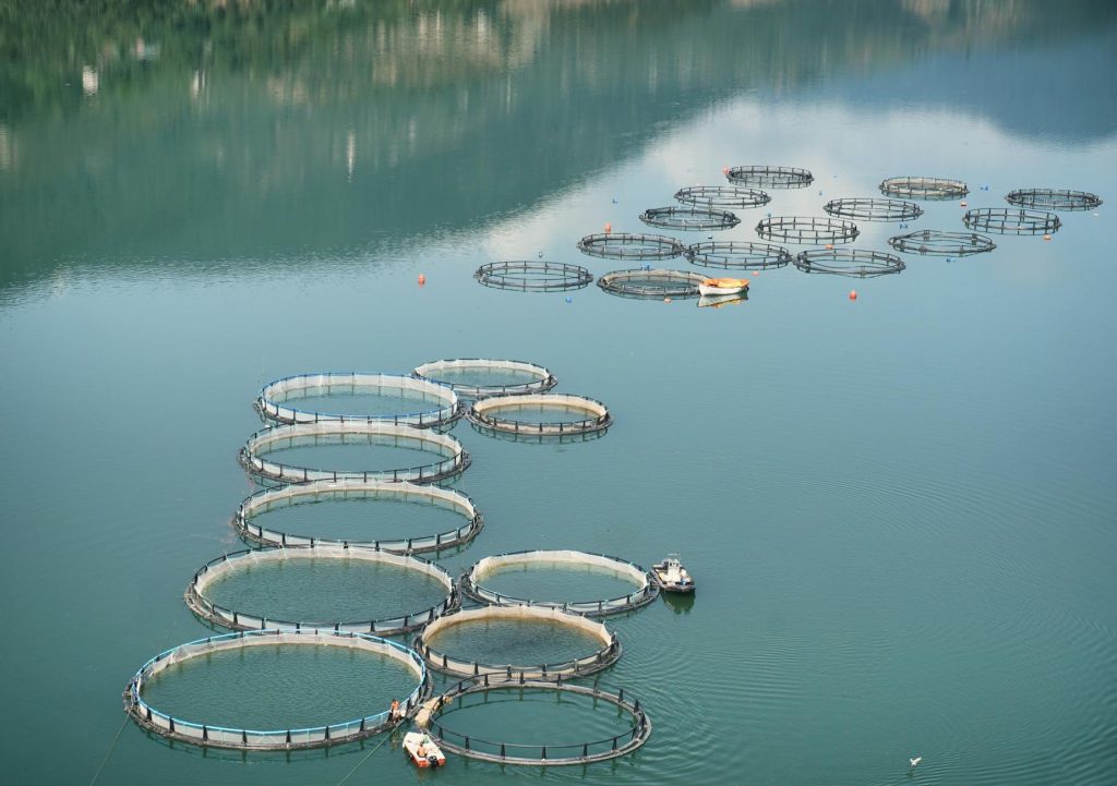 Aquapulse Secures ₹45 Cr Series A to Revolutionize India’s Aquaculture Sector