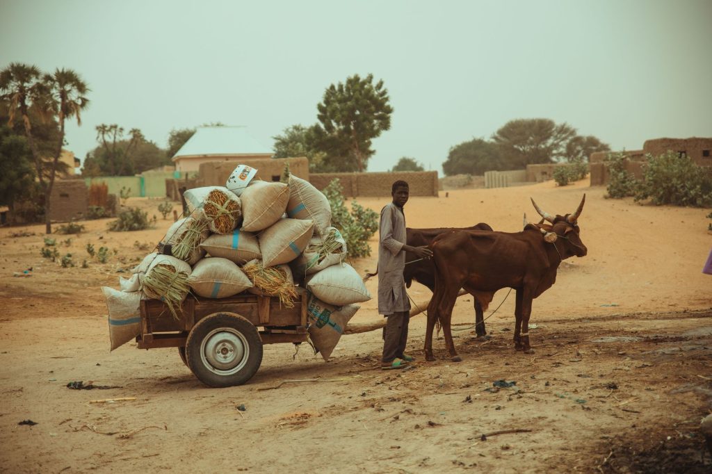 From Farm to Fridge: KisanSetu Innovations is Revolutionizing India’s Cold Chain for Small Farmers