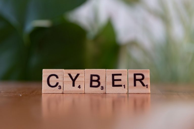 India’s Digital Fortress: Securing AI and Biometric Infrastructure for Strategic Autonomy