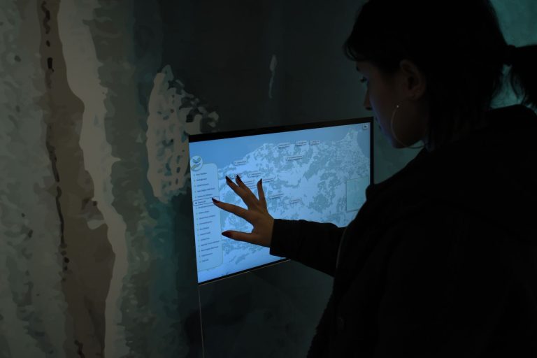 India’s Sovereign AI Ambition Navigates a Shifting Global Economic Landscape
