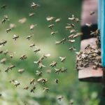 Navigating the Swarm: Google DeepMind Leads $10 Million Charge for Multi-Agent AI Safety