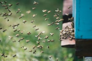 Navigating the Swarm: Google DeepMind Leads $10 Million Charge for Multi-Agent AI Safety