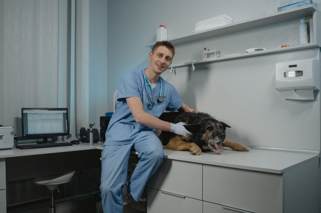 Vetic Secures $40 Million to Organize India’s Exploding Pet Healthcare Landscape
