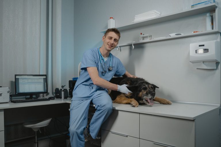 Vetic Secures $40 Million to Organize India’s Exploding Pet Healthcare Landscape