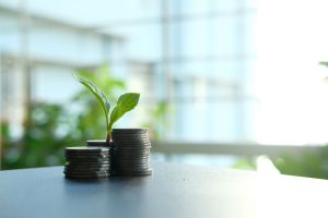 Pehle Jaisa Secures $2.5 Million Seed Round to Revolutionize Sustainable Agriculture Inputs