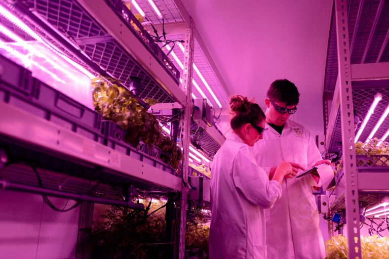 Mitti Labs Gets $9.5 Million to Expand Water-Saving Rice Tech