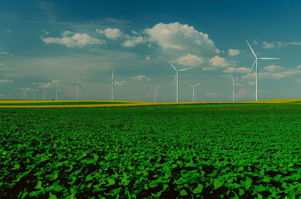 NTPC Targets Green Hydrogen Exports, Demands Commercial Scale Solutions from Startups